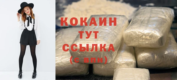 ПСИЛОЦИБИНОВЫЕ ГРИБЫ Верхний Тагил
