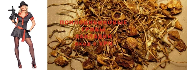 прущие крисы Верхнеуральск