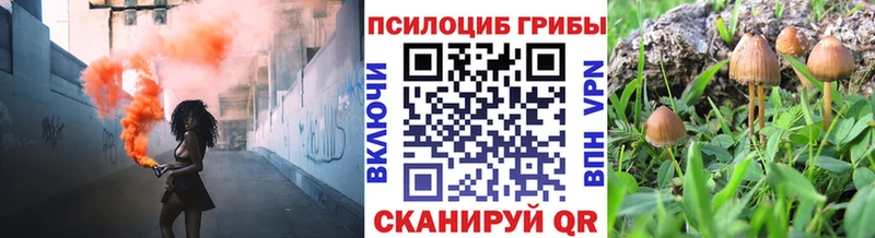 Галлюциногенные грибы мицелий  Купить закладки  Мелеуз 